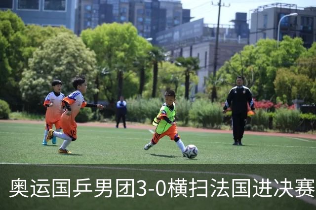 奥运国乒男团3-0横扫法国进决赛 将与瑞典争冠军