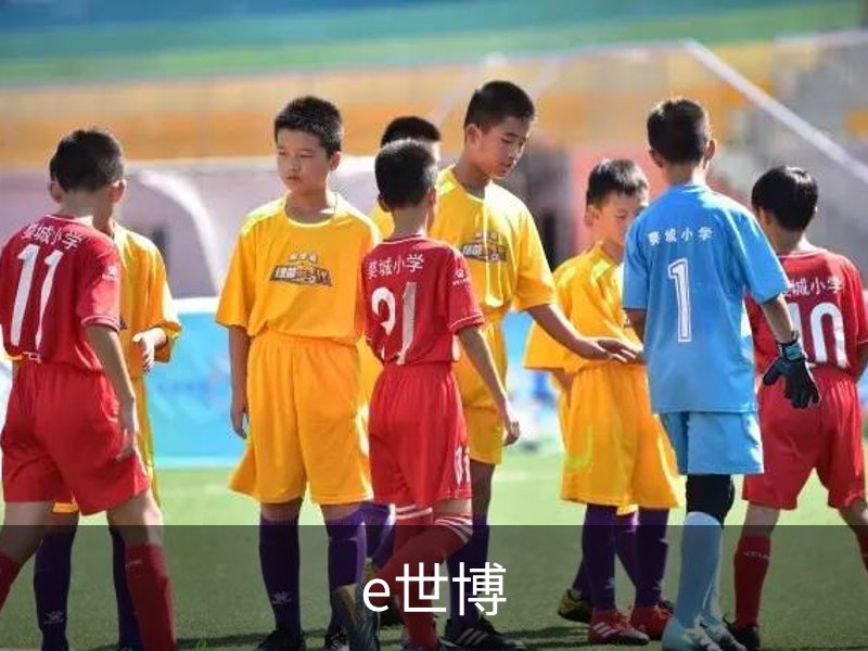 e世博简介